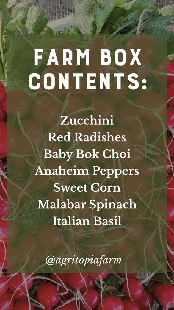 Arizona Farm Produce Box