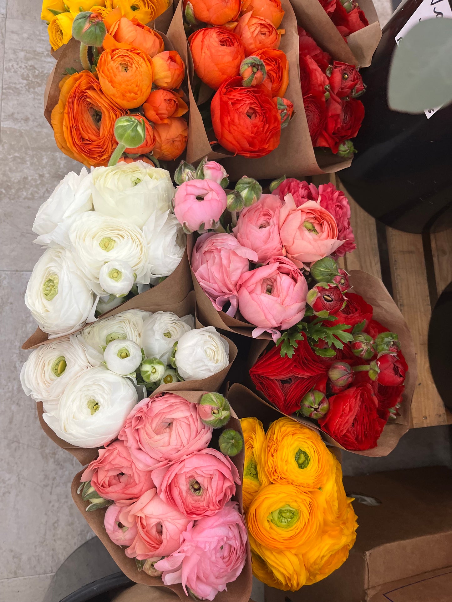 Ranunculus