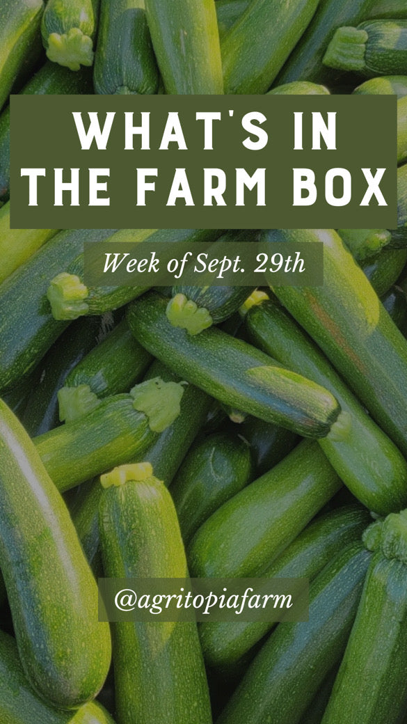 Arizona Farm Produce Box