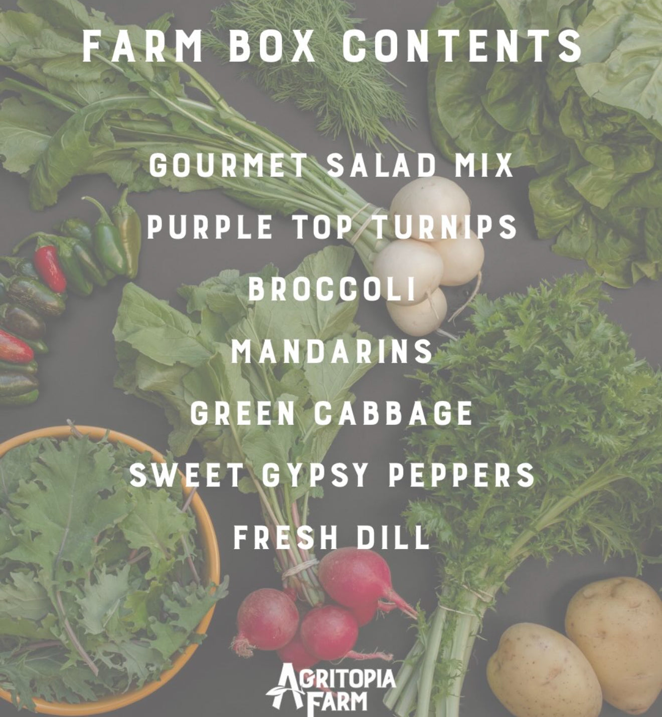 Arizona Farm Produce Box