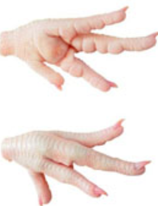 Chicken Feet (10 feet)