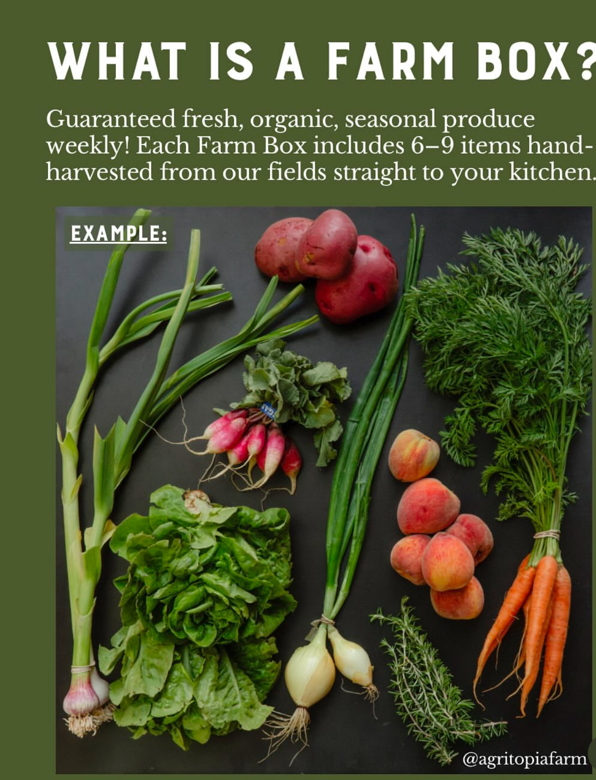 Arizona Farm Produce Box