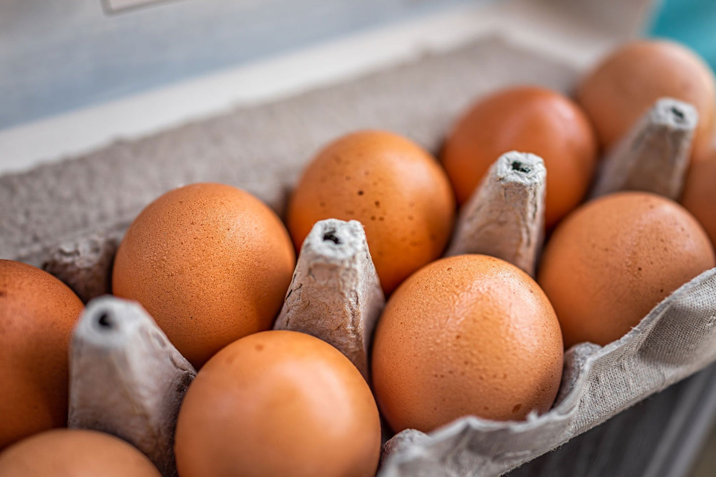 Chicken Eggs (Half Dozen)