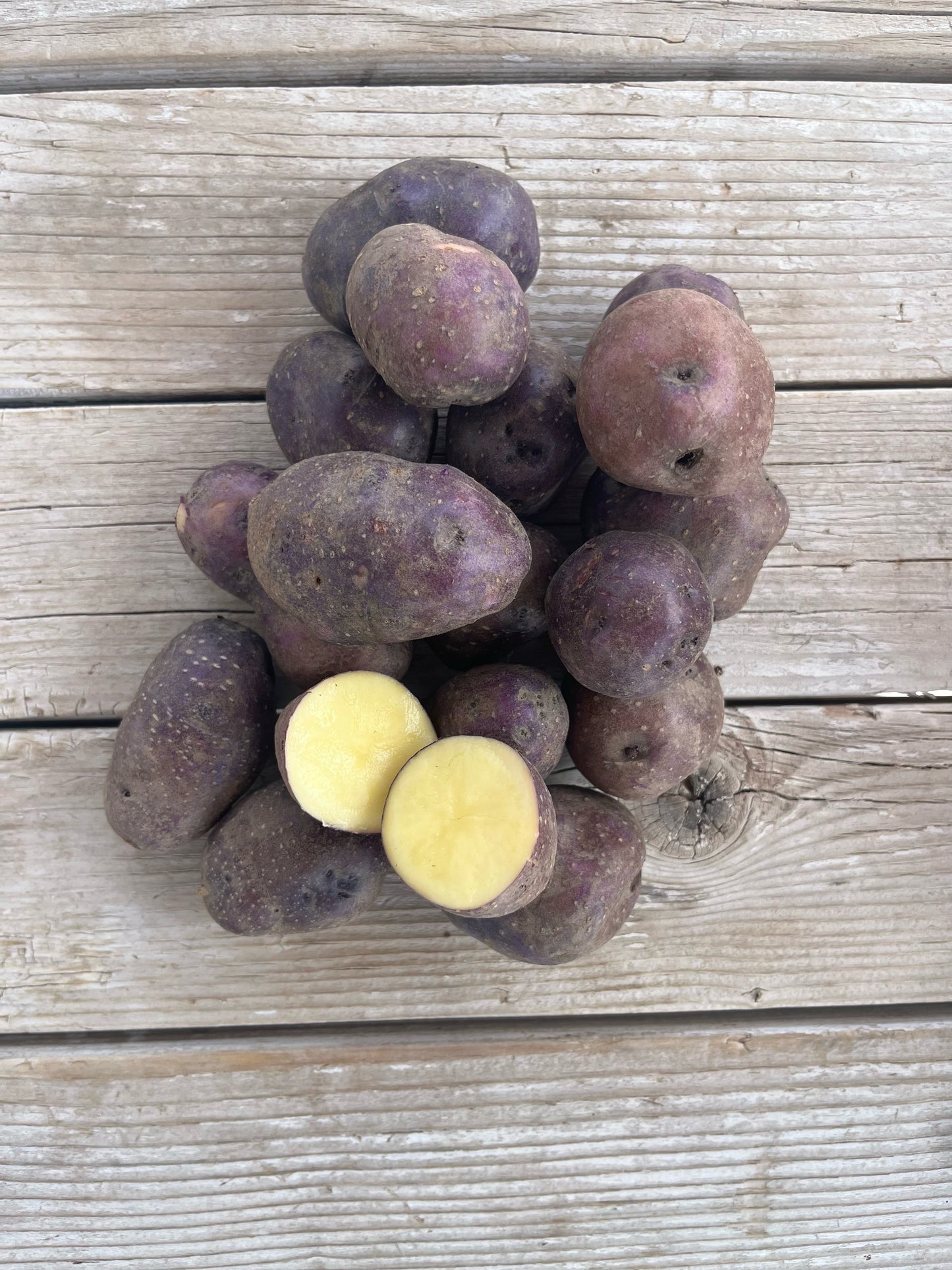 Purple Viking, Potato