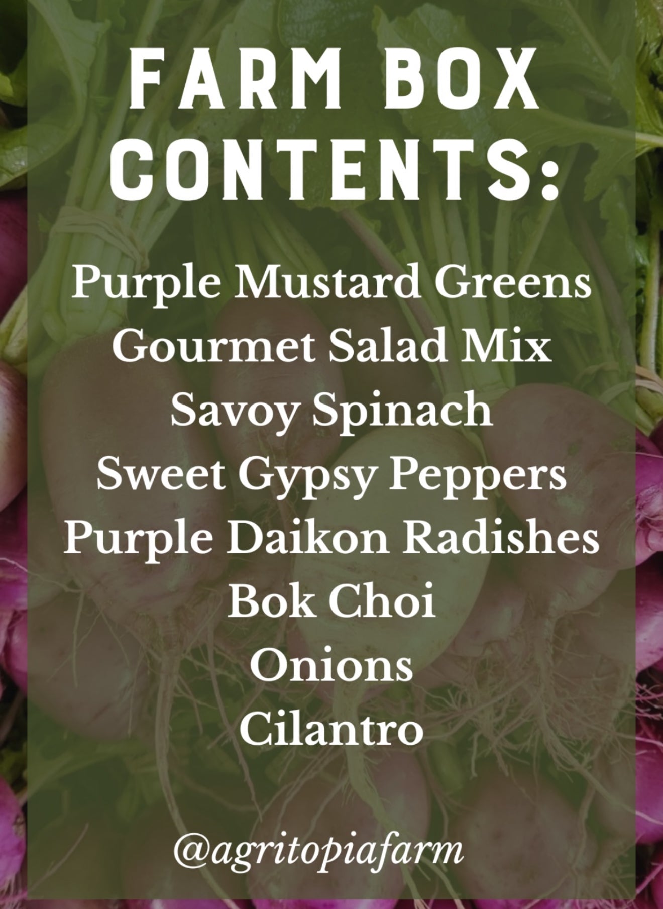 Arizona Farm Produce Box