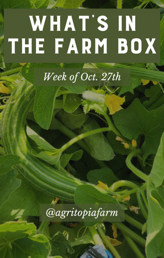 Arizona Farm Produce Box