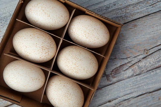 Duck Eggs (Half Dozen)